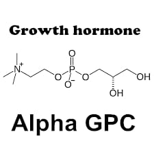 alpha GPC growth hormone