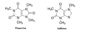 THEACRINE and CAFFEINE structure comaparison