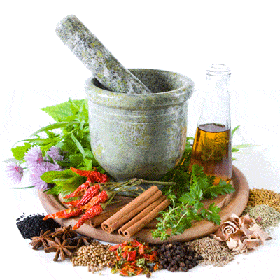 Herbal extract list