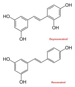 oxyresveratrol-structure