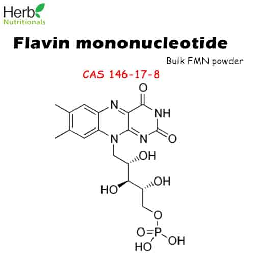 mononucleotide fluorescence structure